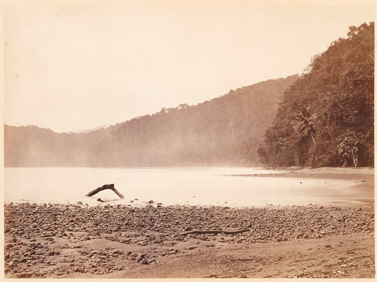 Paesaggio tropicale: L