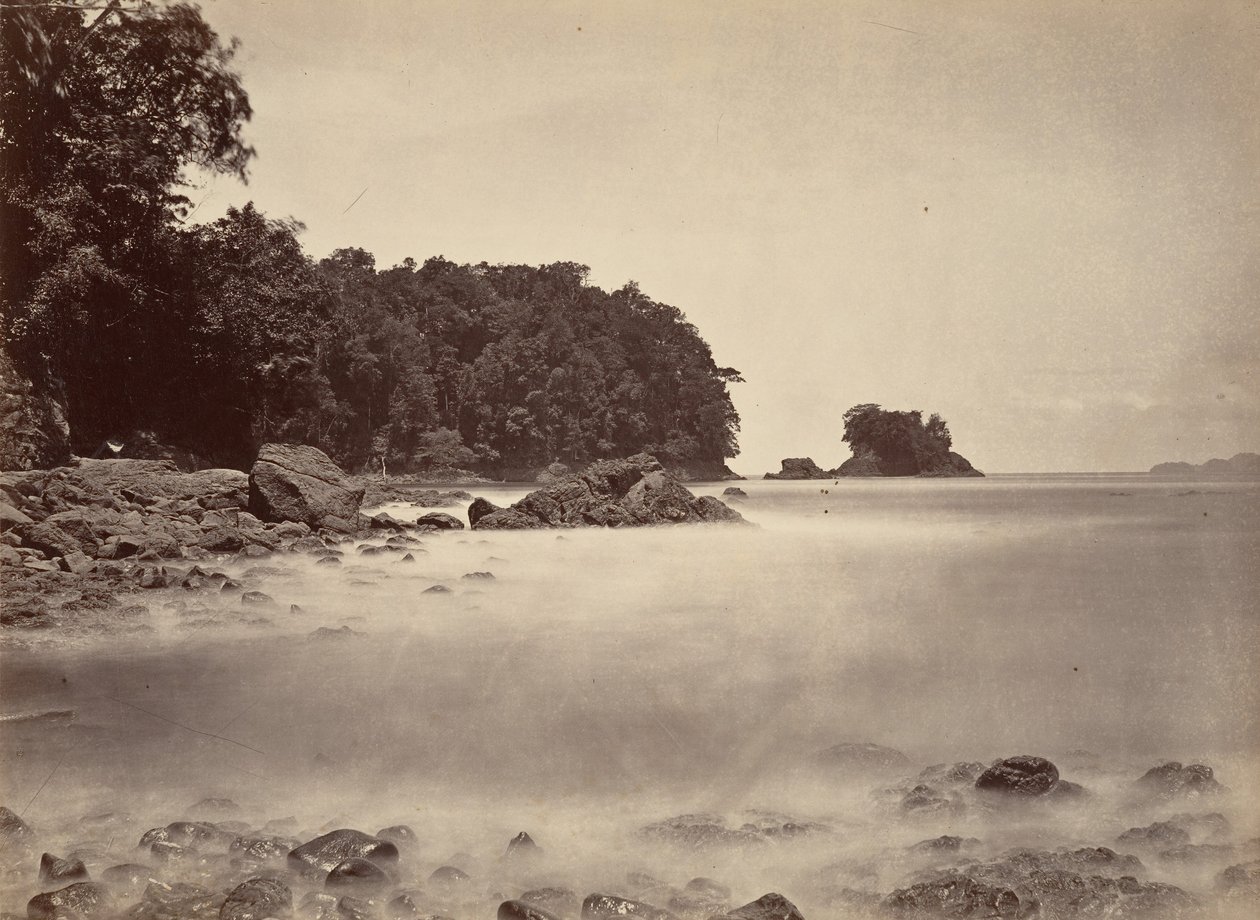 Paesaggio tropicale, veduta della baia di Limon, 1871 da John Moran