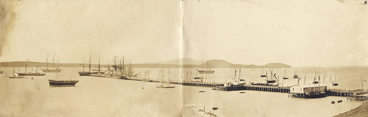 Porto di Auckland, 1865 da John Nicol Crombie