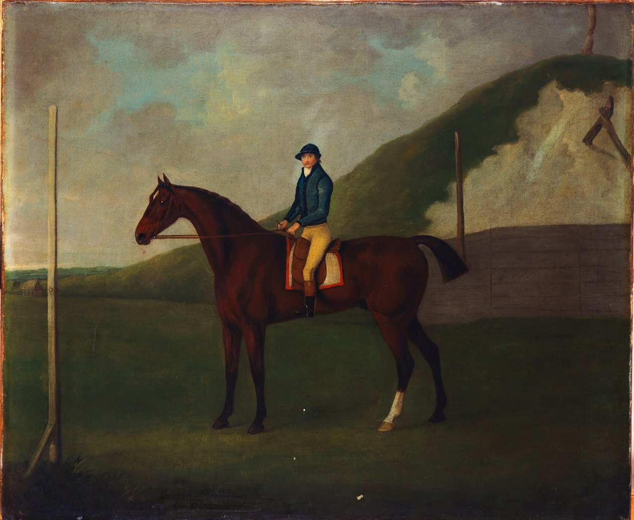 "Creeper", un puledro baio con fantino alla partenza al Running Gap nel Devils Ditch, Newmarket da John Nott Sartorius