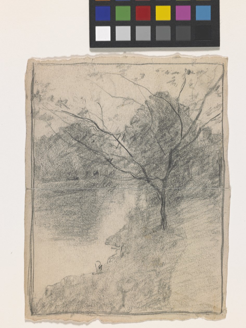 Albero accanto a un ruscello da John Otis Adams