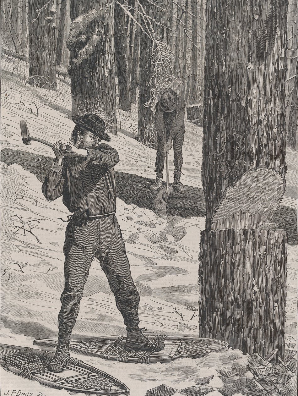 Taglio del legname in inverno Every Saturday, Vol. II, New Series, 28 gennaio 1871 da John Parker Davis
