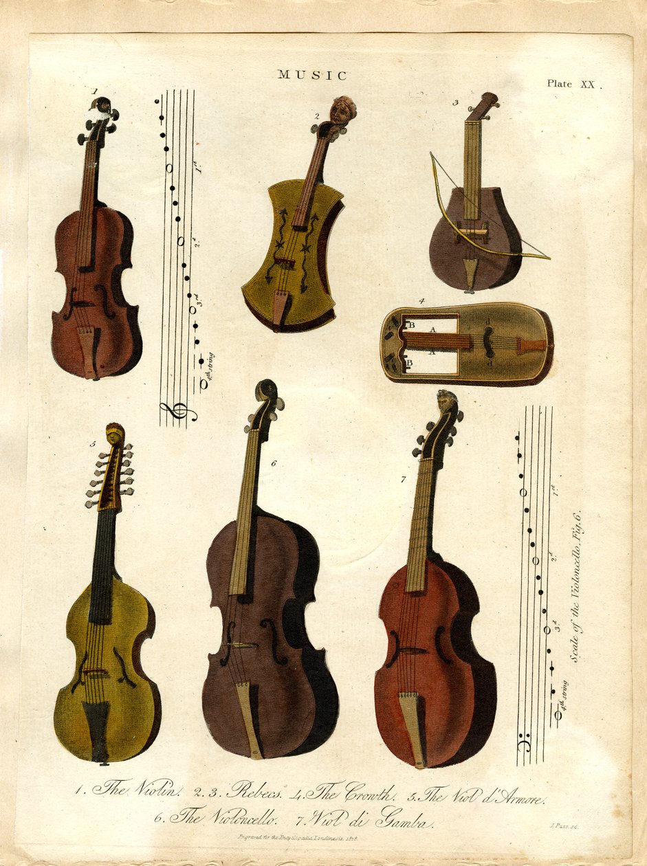 Strumenti a corda della musica classica da John Pass