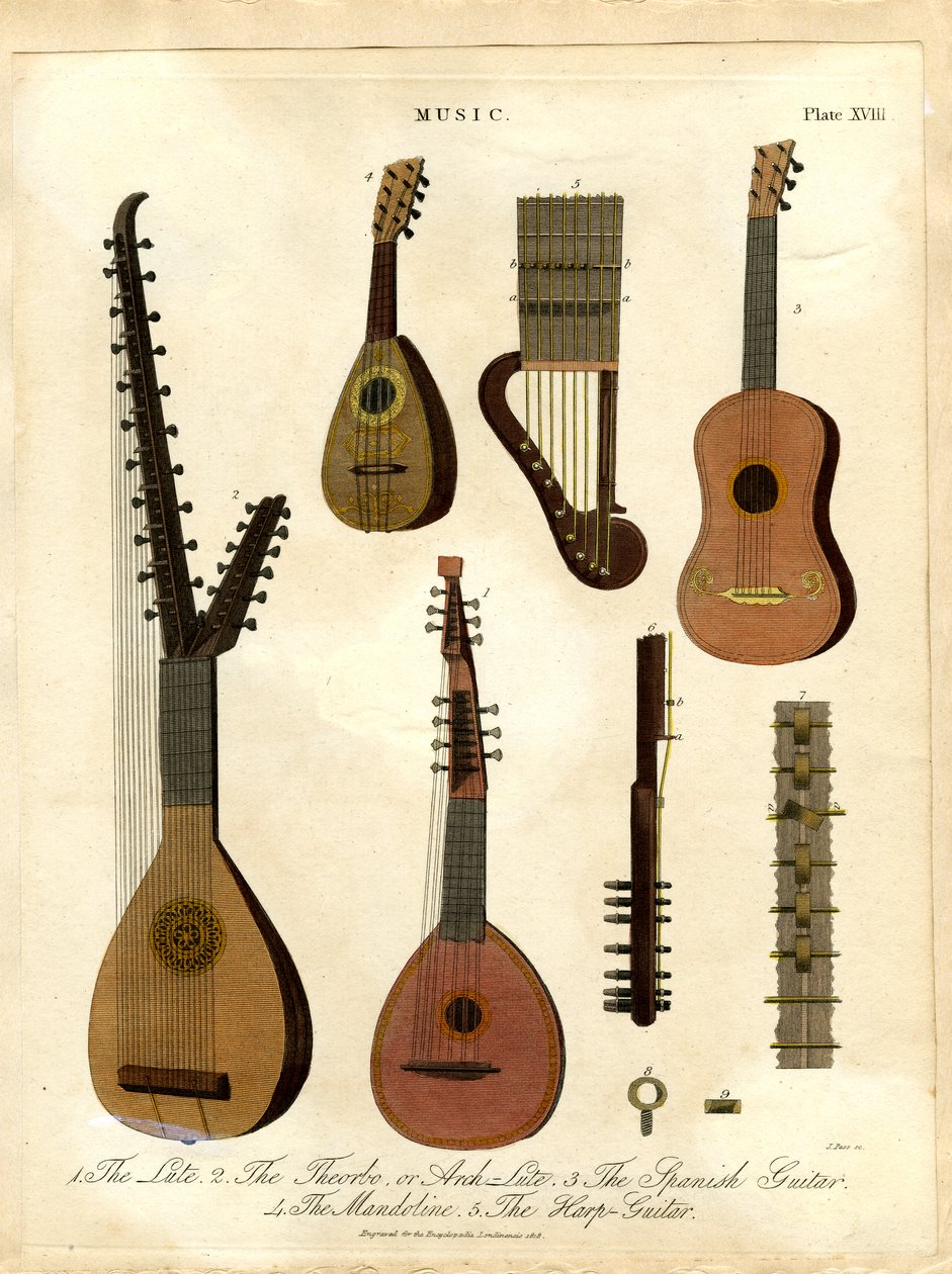 Il liuto; la tiorba o liuto ad arco; la chitarra spagnola; il mandolino; la chitarra-arpa. da John Pass
