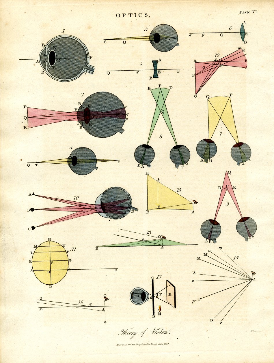Teoria della visione da John Pass