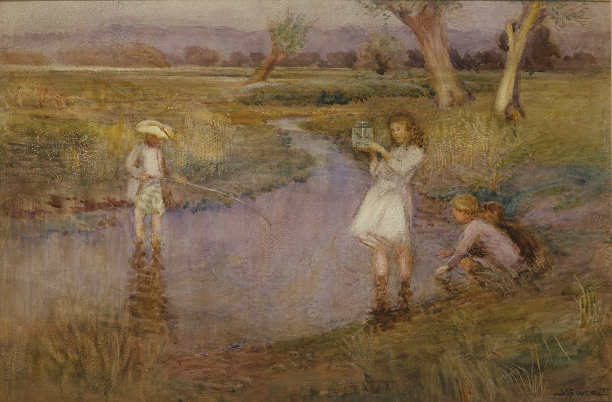 Catturare i Pesciolini - Town Meadows, Maidstone, Kent da John Pedder