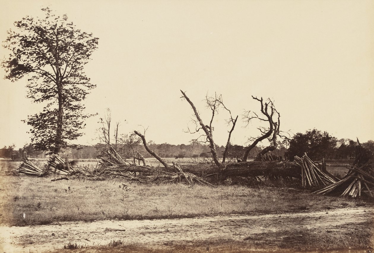 Linea Estrema delle Opere Confederali, Cold Harbor, aprile 1865 da John Reekie