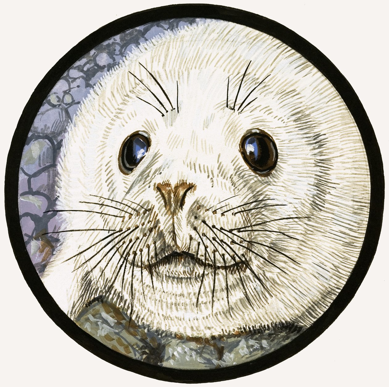 La nostra amica marina, la foca da John Rignall