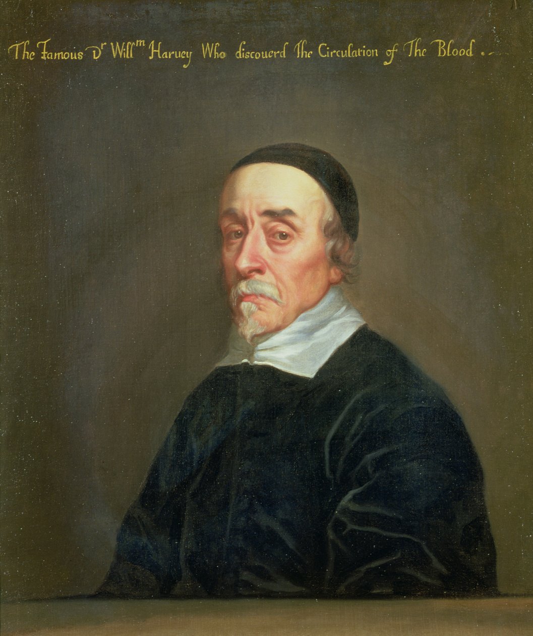 Ritratto di William Harvey da John Riley