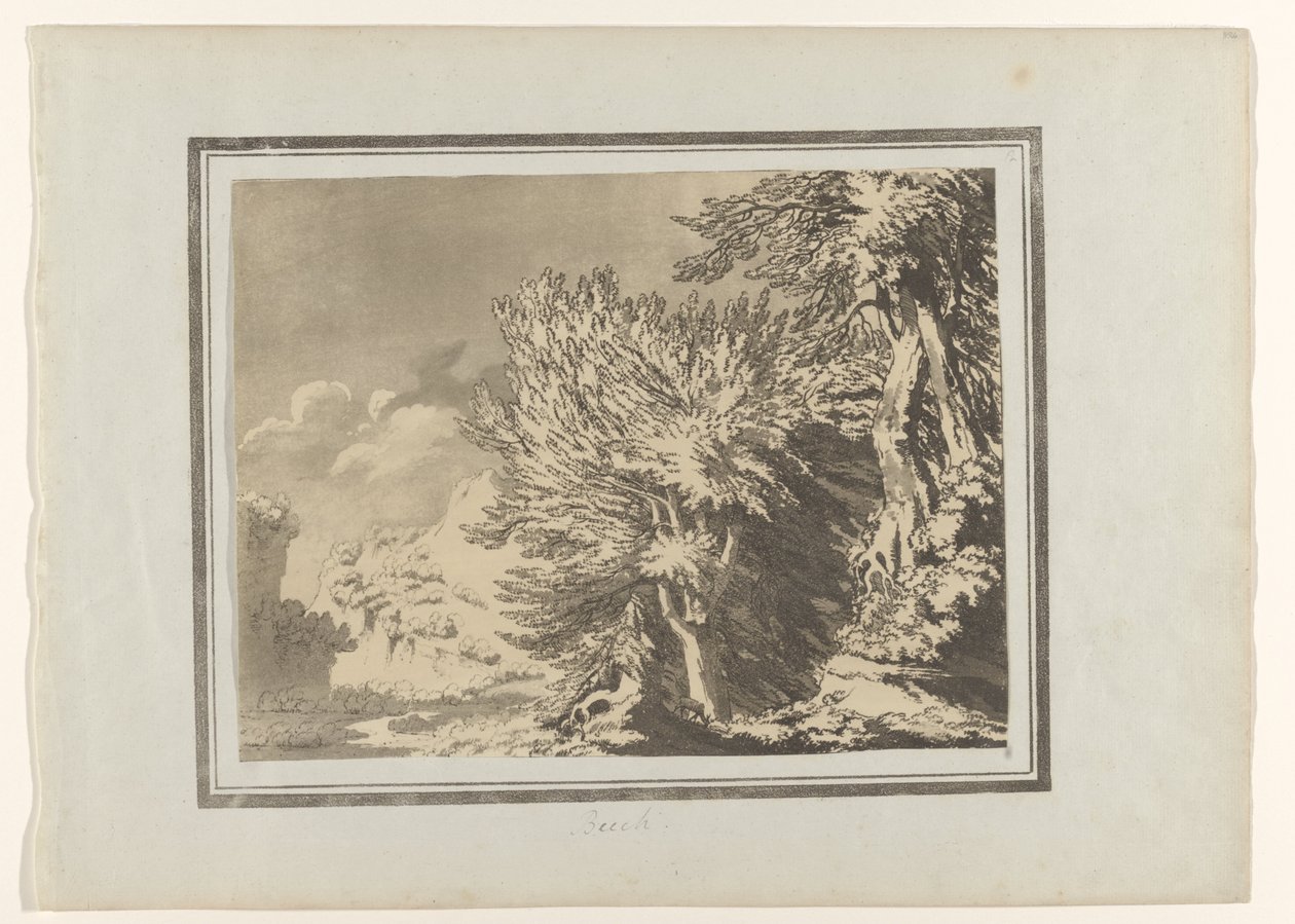 Faggio da John Robert Cozens
