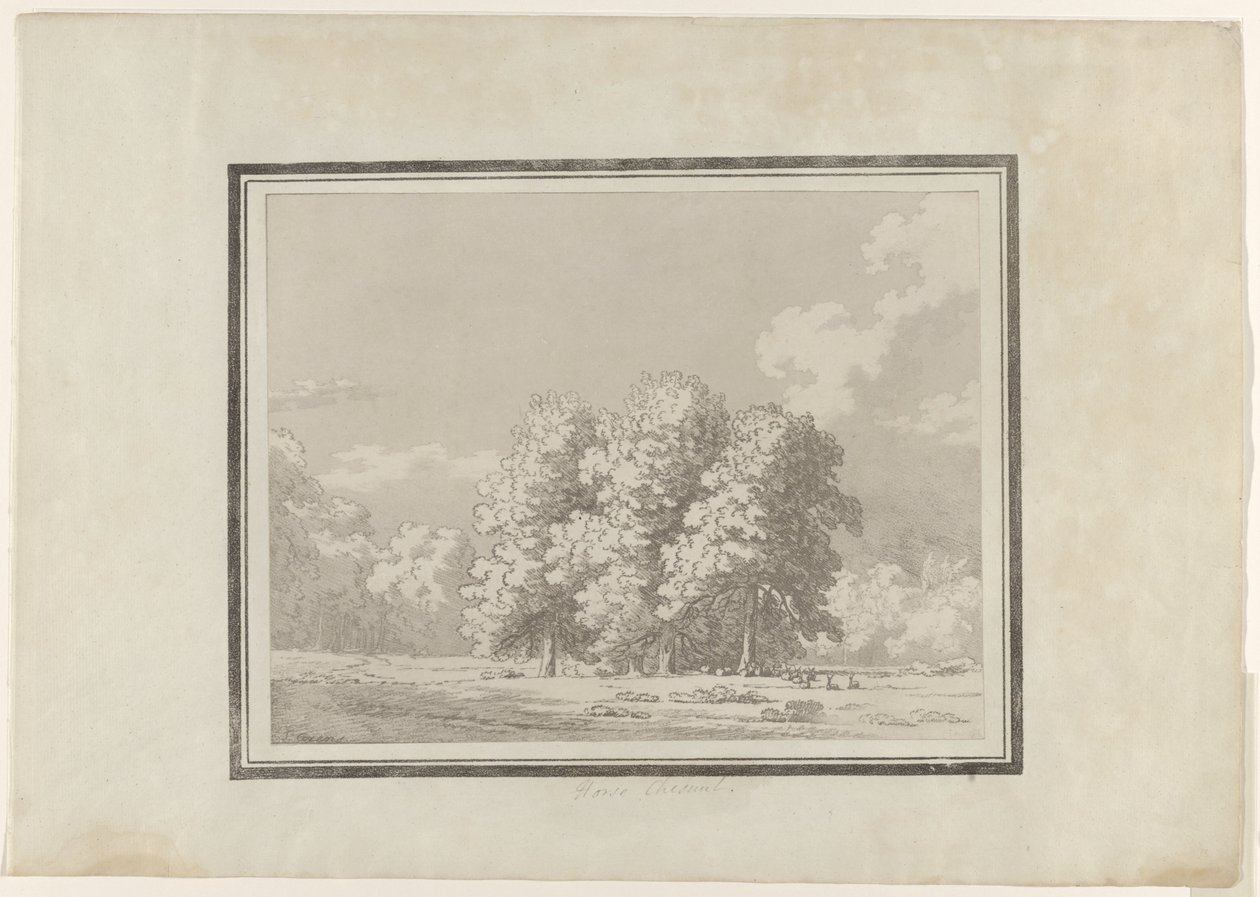 Ippocastano da John Robert Cozens