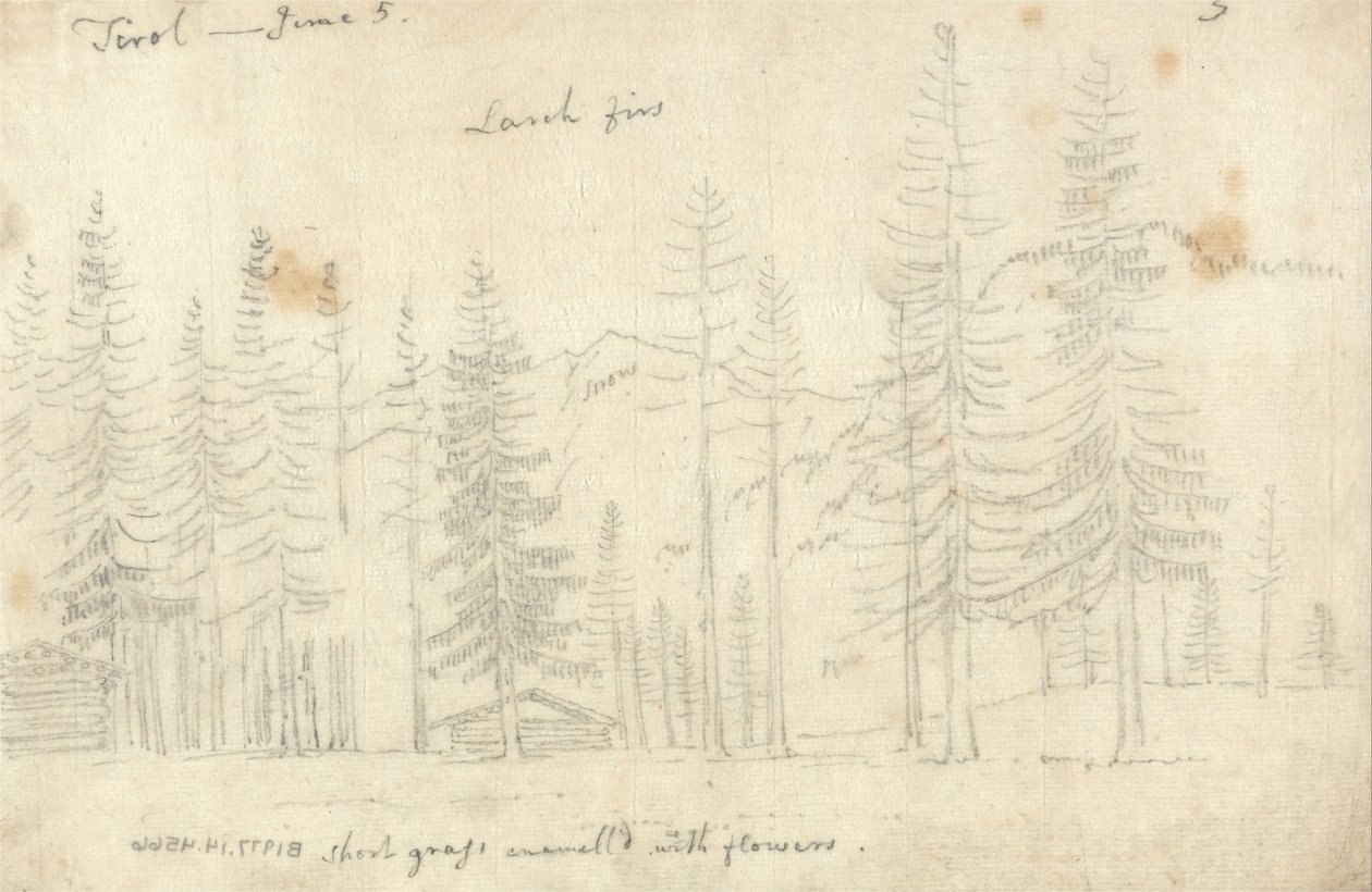 Nel Tirolo da John Robert Cozens