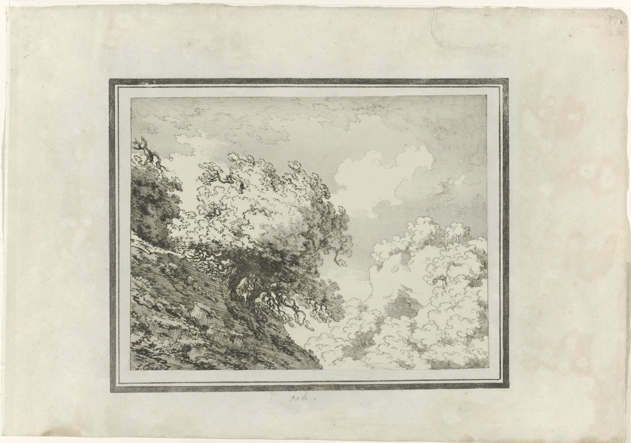 Quercia da John Robert Cozens