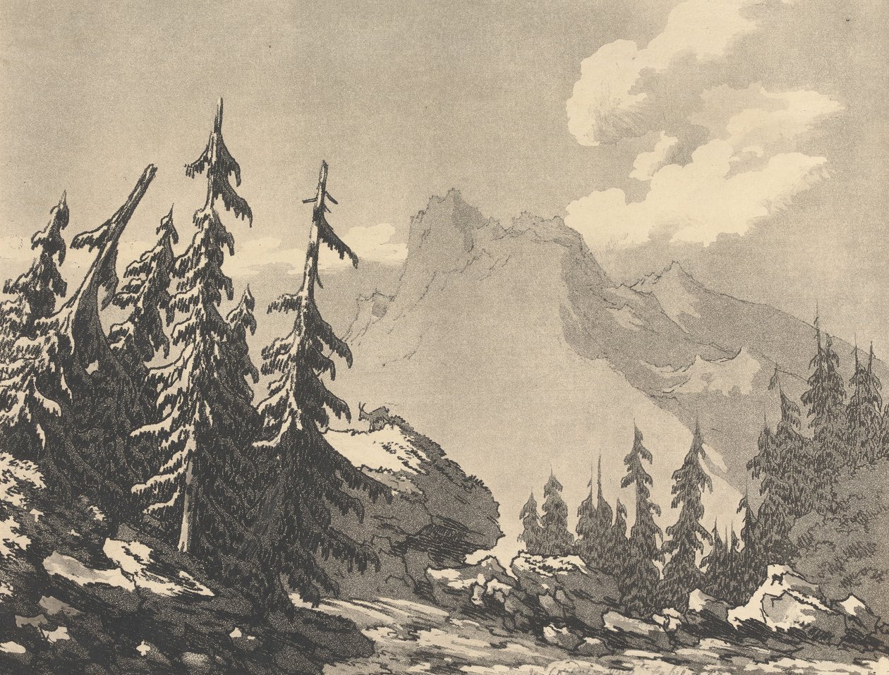 Abete rosso da John Robert Cozens
