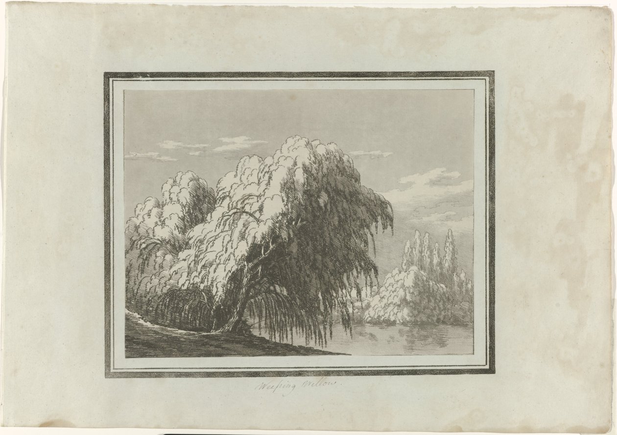 Salice piangente da John Robert Cozens