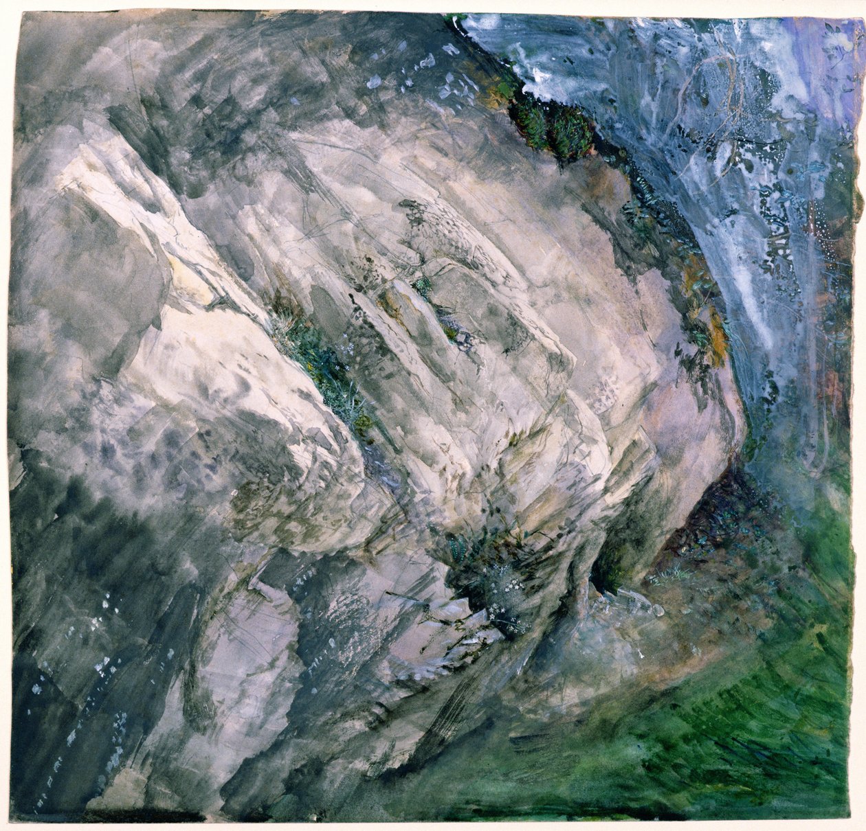 Rocce e vegetazione a Chamouni, 1854 da John Ruskin