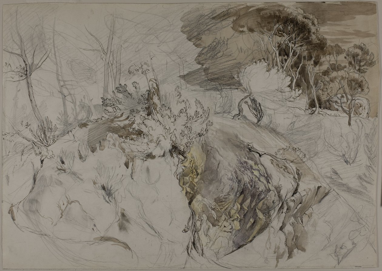 Arbusti e alberi in paesaggio roccioso da John Ruskin