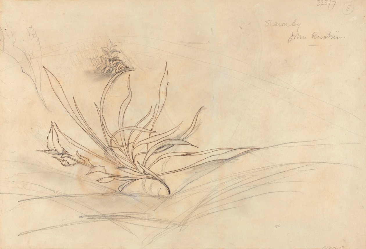 La riva rocciosa di un fiume da John Ruskin