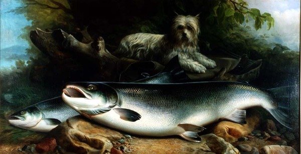 Guardando la pesca del giorno; un terrier di Skye con un gallo e una gallina salmone da John Russell