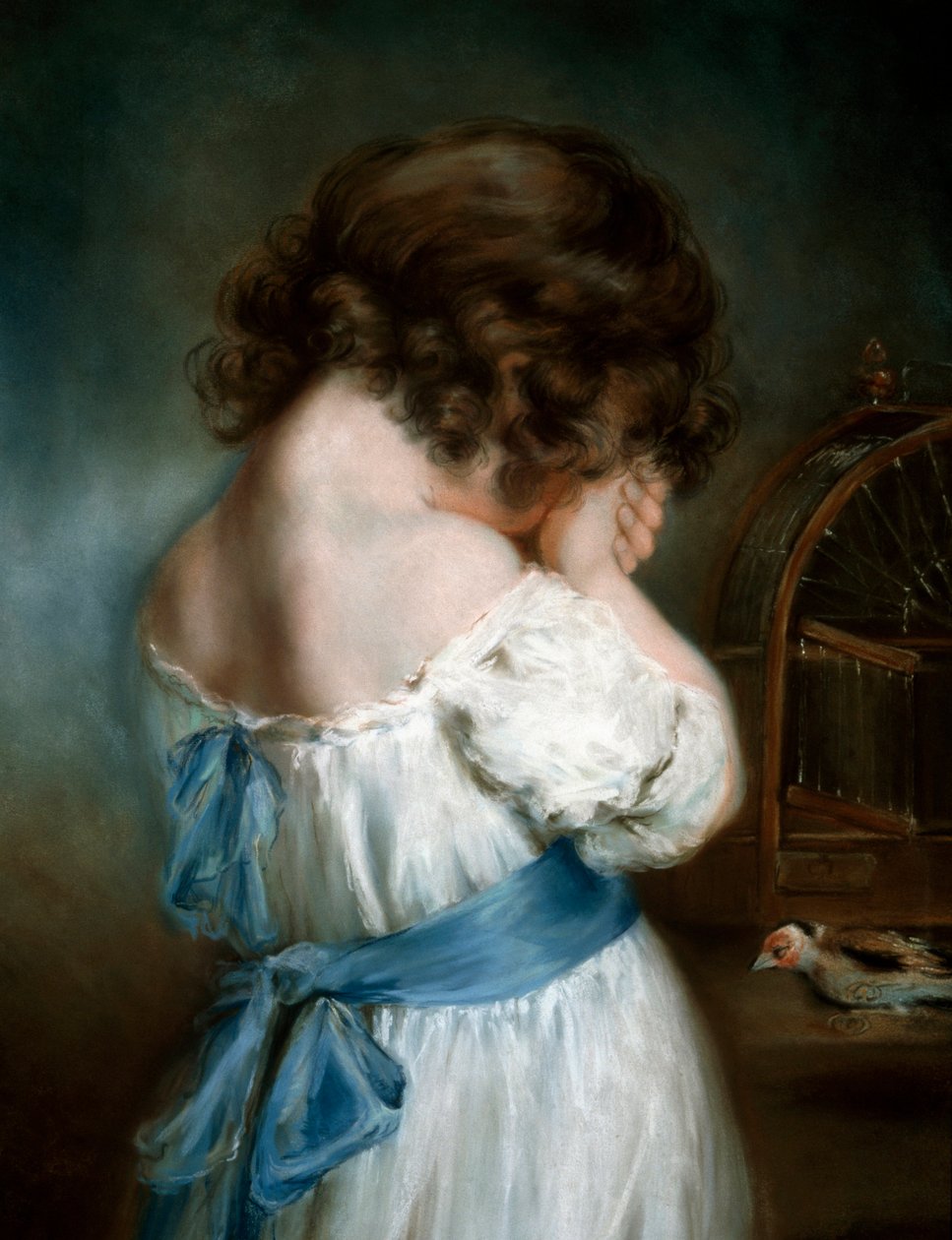 Il cardellino da John Russell