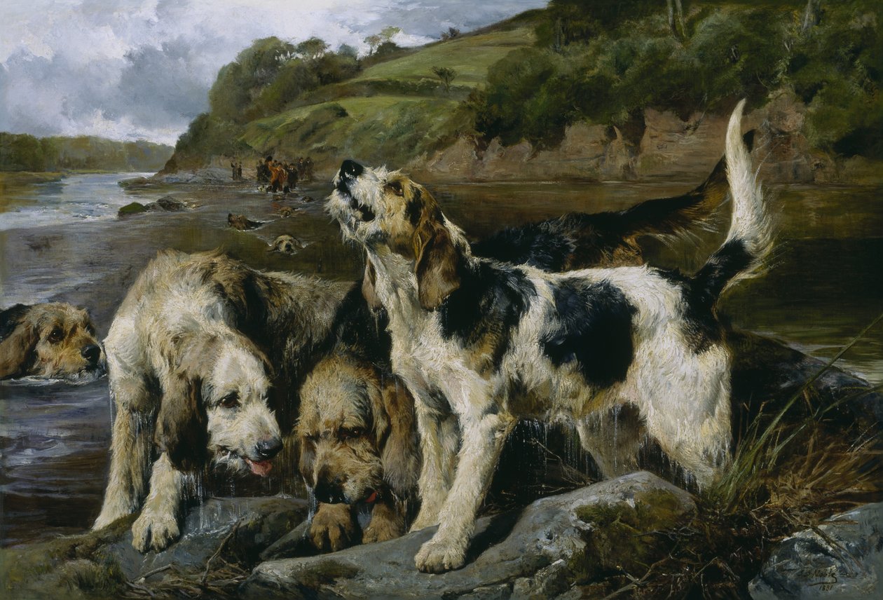 Caccia alla lontra, o Sulla pista da John Sargent Noble