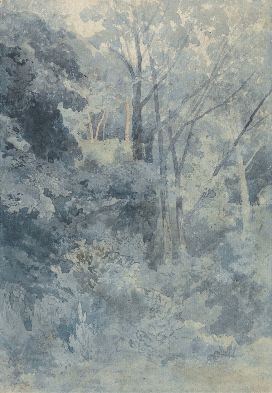 Nel Parco Rokeby da John Sell Cotman