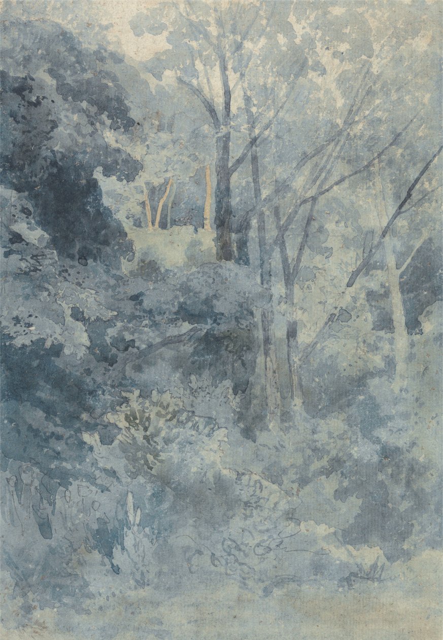 Nel parco di Rokeby da John Sell Cotman