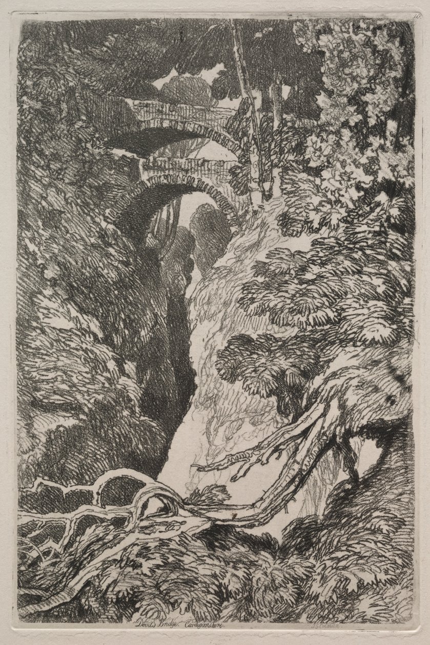 Liber Studiorum: Ponte del Diavolo, Cardiganshire da John Sell Cotman