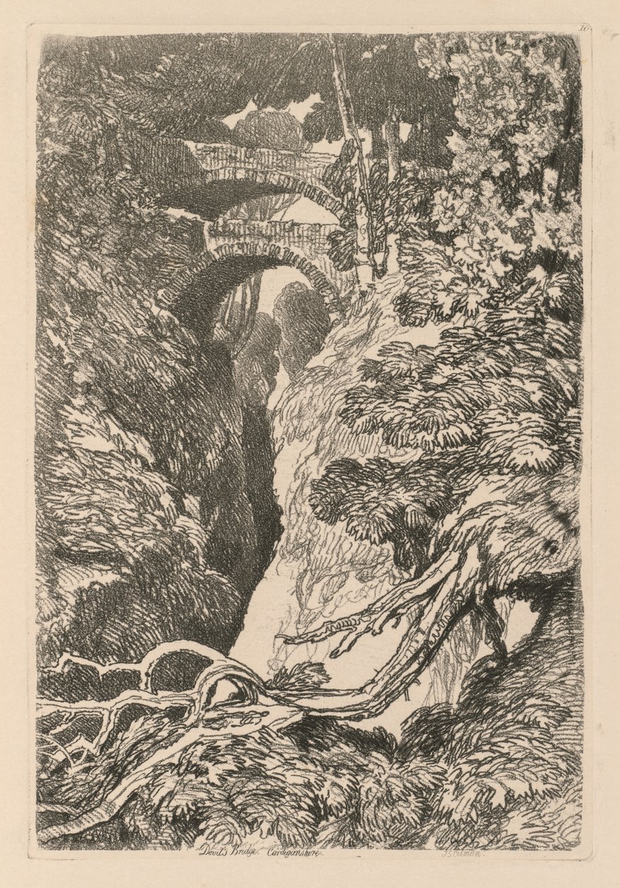 Liber Studiorum: Tavola 10, Il Ponte del Diavolo, Cardinganshire da John Sell Cotman