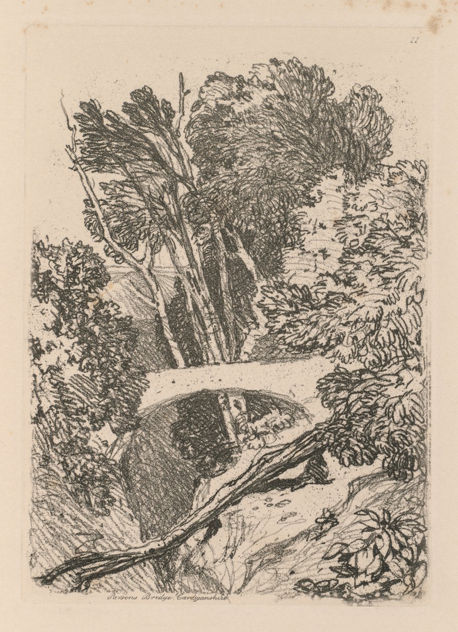Liber Studiorum: Tavola 11: Parsons Bridge, Cardingshire, 1838 da John Sell Cotman