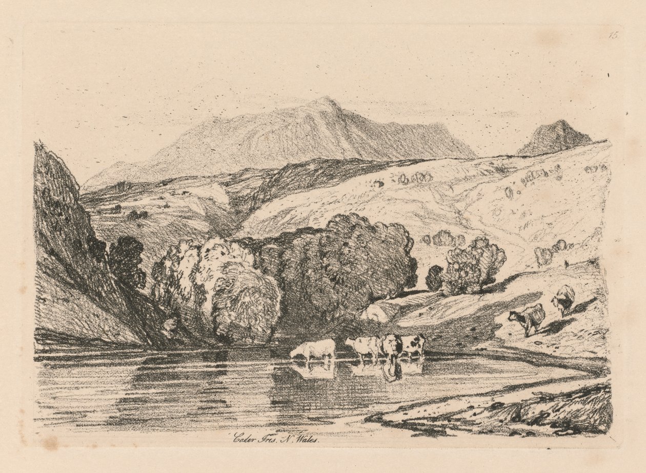 Liber Studiorum: Tavola 15, Cader Iris, Galles del Nord da John Sell Cotman