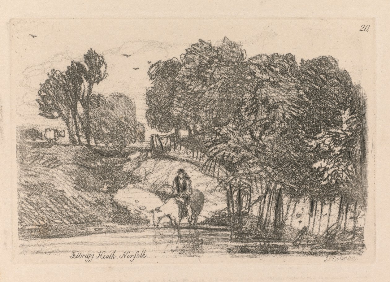 Liber Studiorum: Tavola 20, Felbrigg Heath, Norfolk da John Sell Cotman