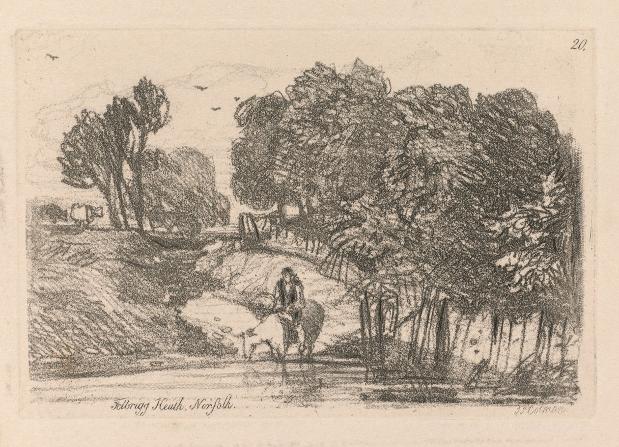 Liber Studiorum: Tavola 20, Felbrigg Heath, Norfolk, 1838 da John Sell Cotman