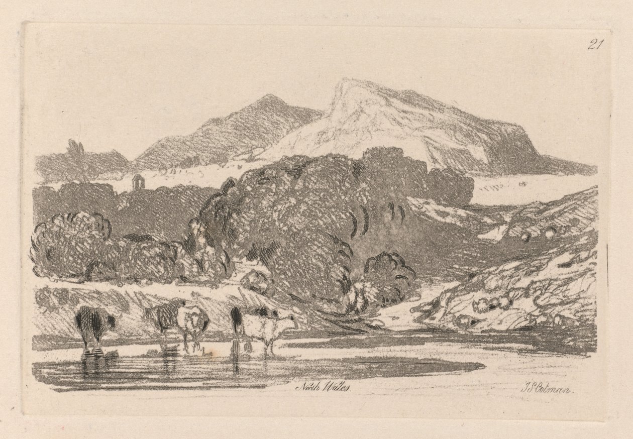 Liber Studiorum: Tavola 21, Veduta nel Galles del Nord da John Sell Cotman