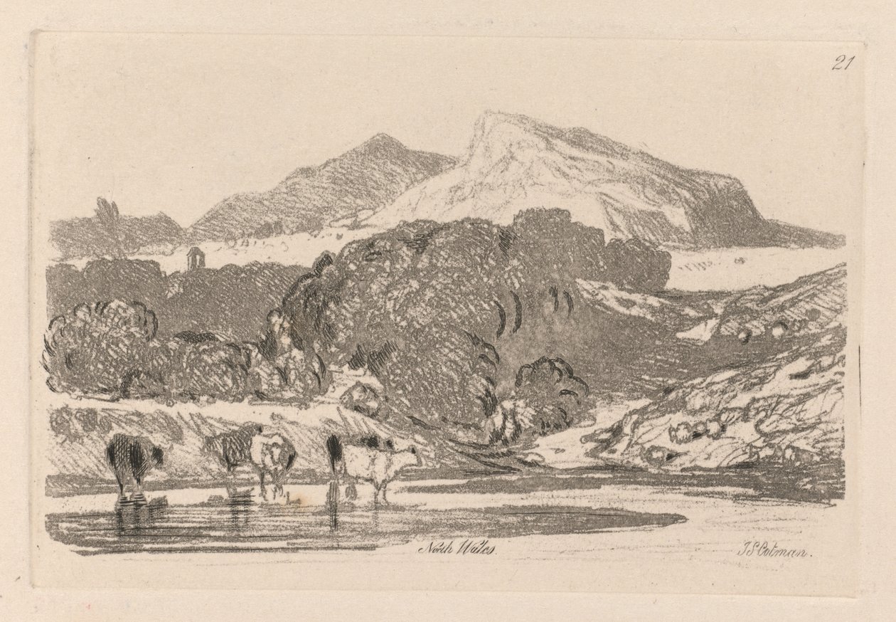 Liber Studiorum: Tavola 21, Veduta nel Galles del Nord da John Sell Cotman