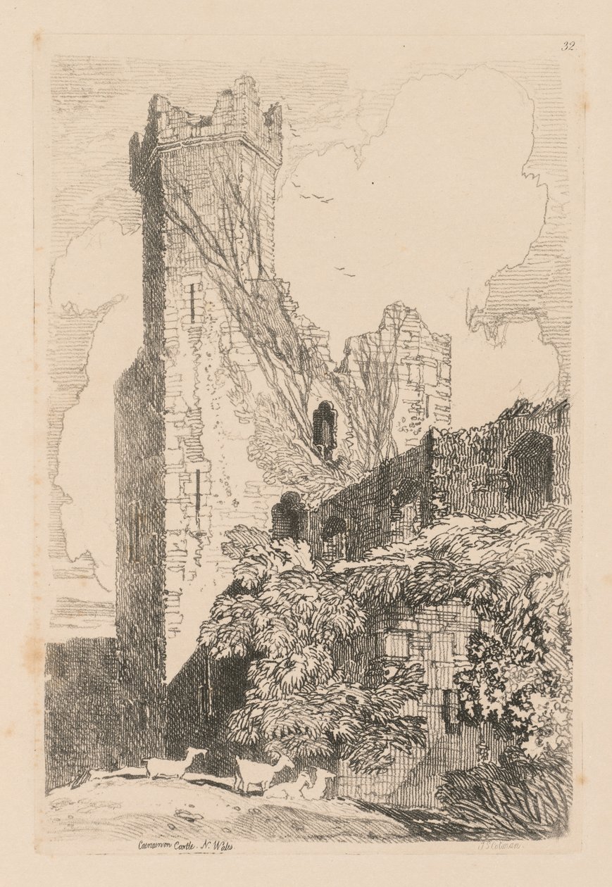 Liber Studiorum: Tavola 32, Castello di Caernarvon, Galles del Nord, 1838 da John Sell Cotman