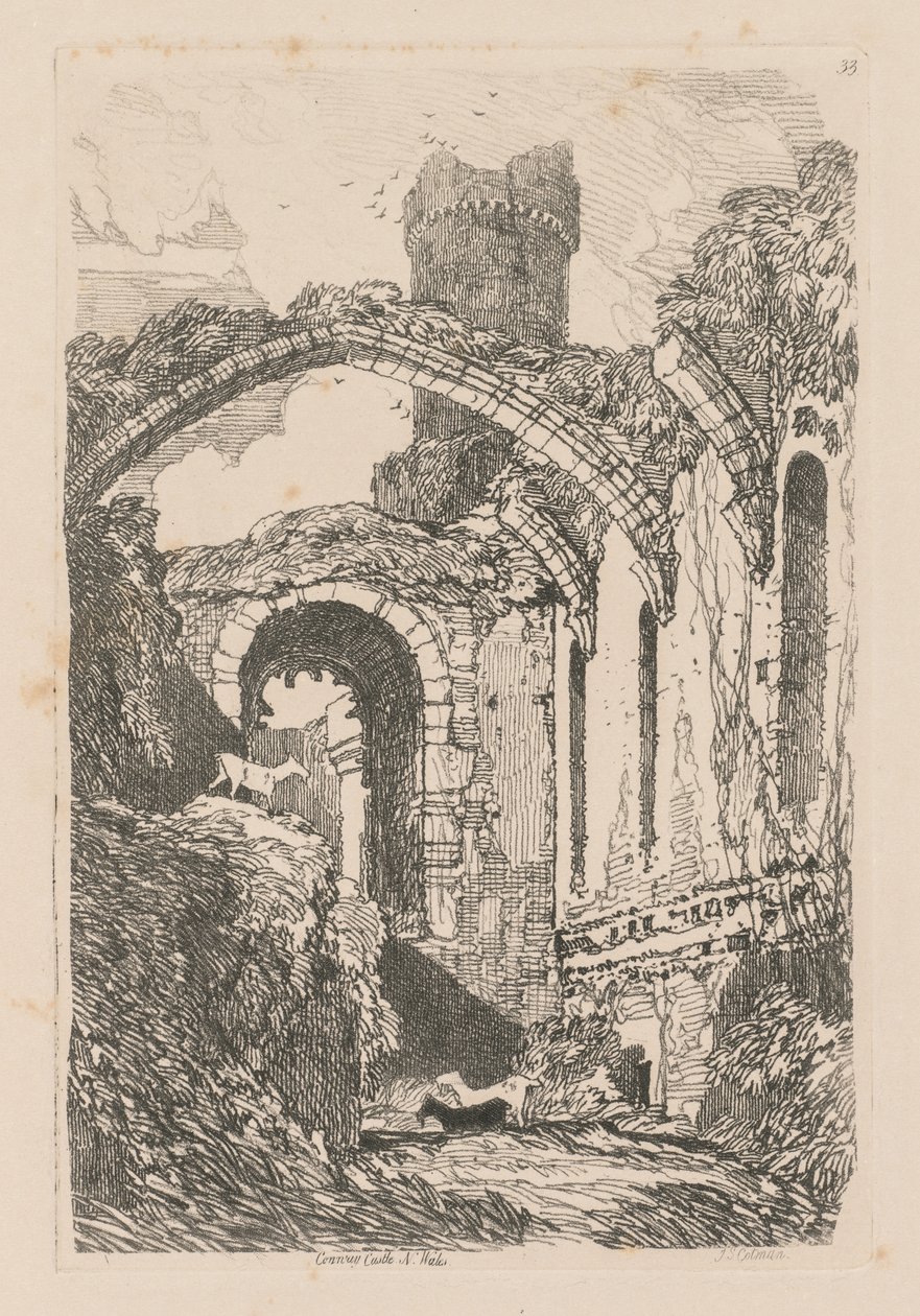 Liber Studiorum: Tavola 33, Castello di Conway, Galles del Nord da John Sell Cotman