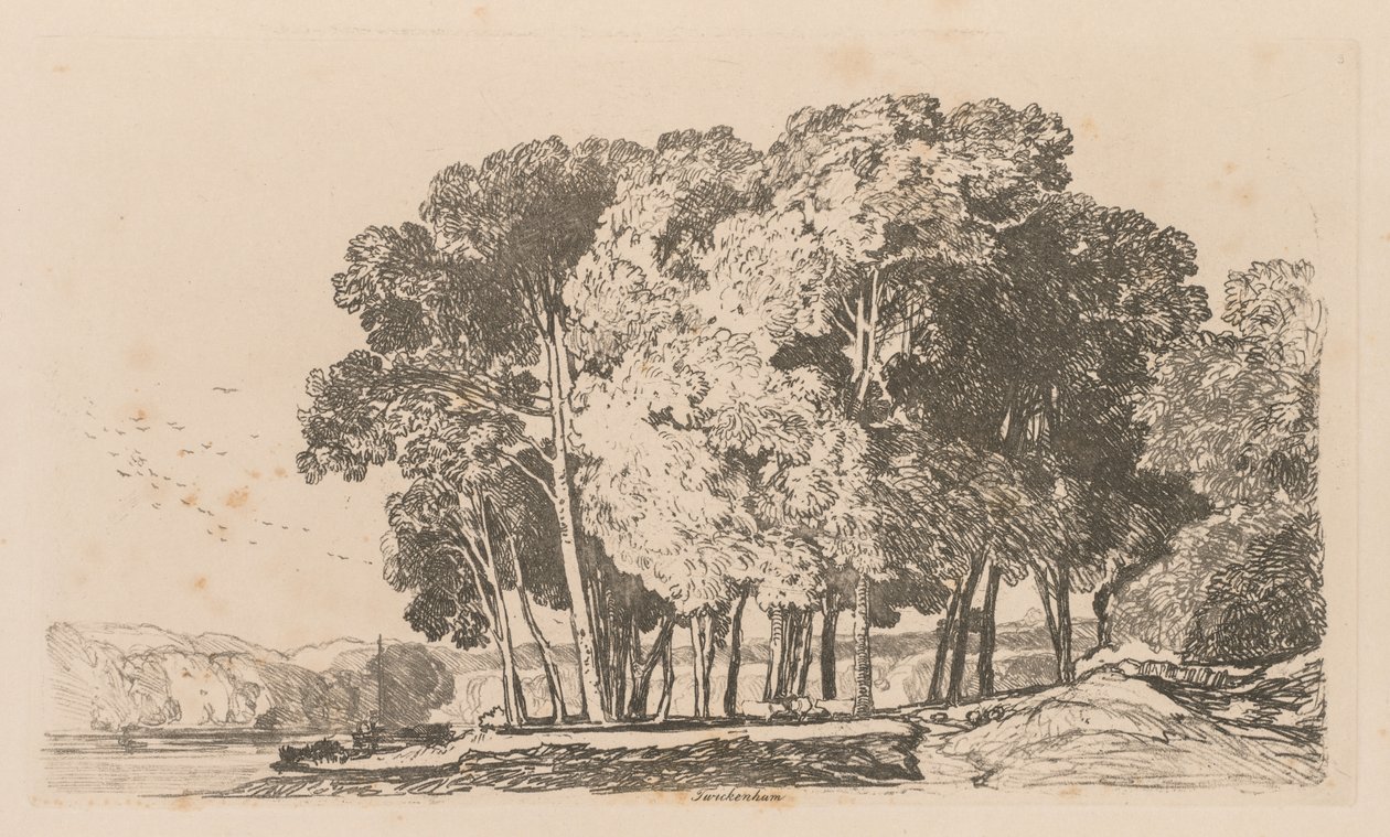 Liber Studiorum: Tavola 3, Alberi vicino a Twickenham da John Sell Cotman