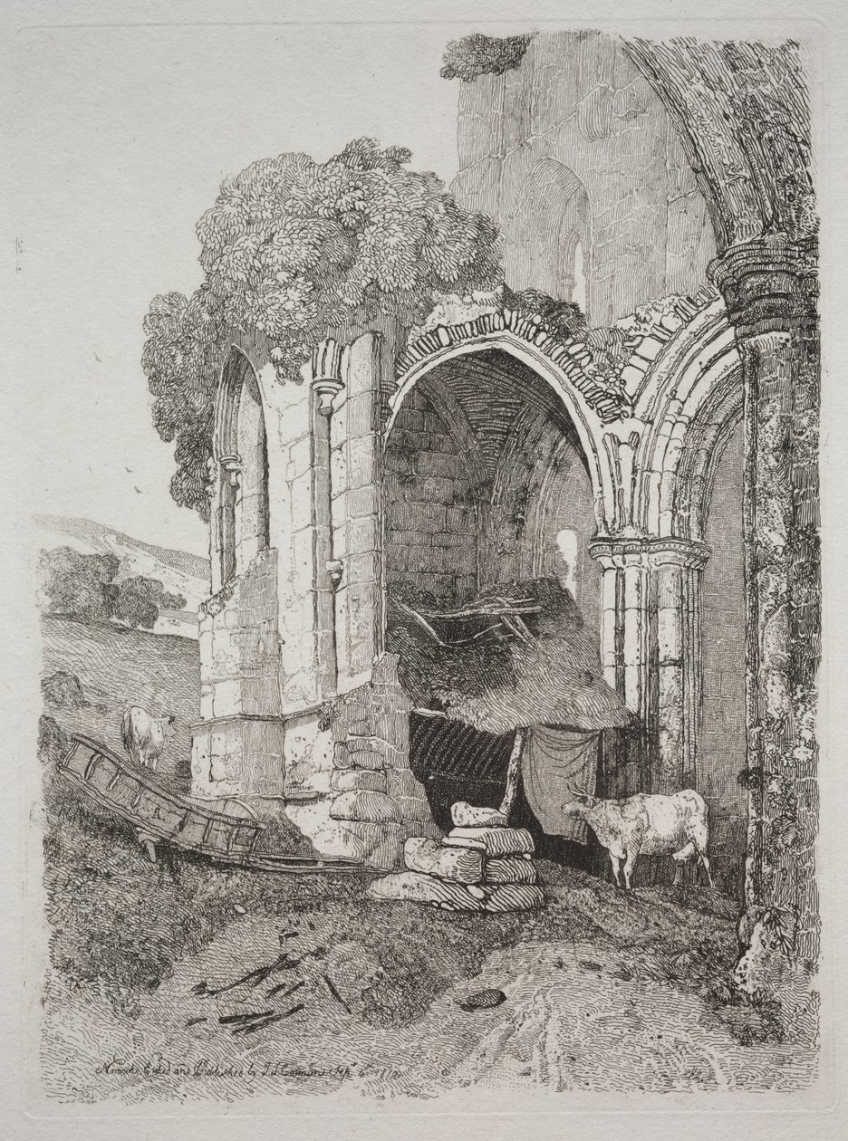 Abbazia di Rievaulx, Yorkshire da John Sell Cotman