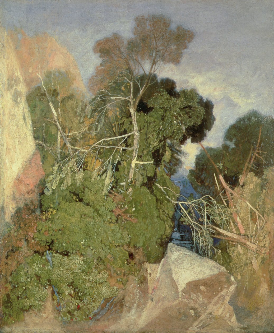 Betulle argentate da John Sell Cotman
