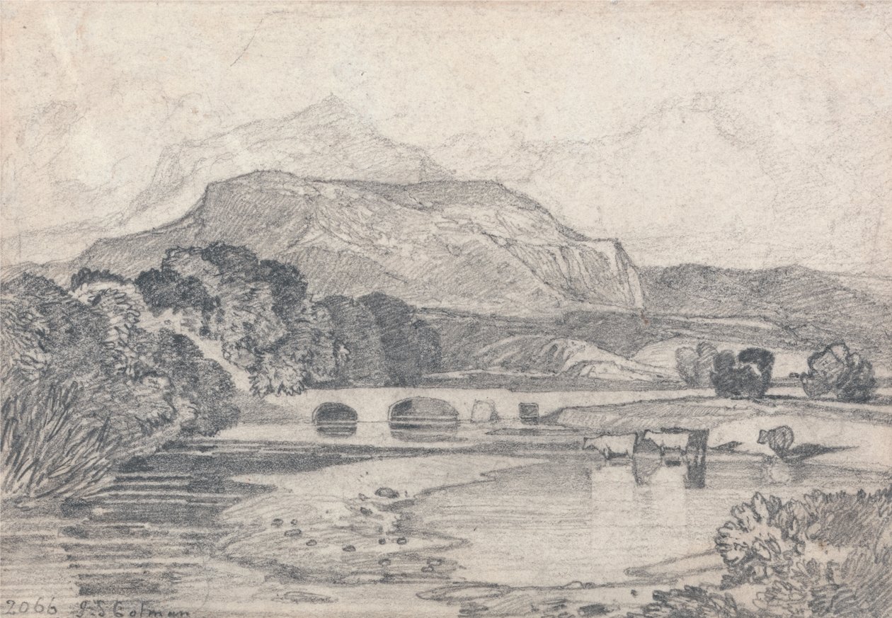 Tan-y-Bwlch, Galles del Nord da John Sell Cotman