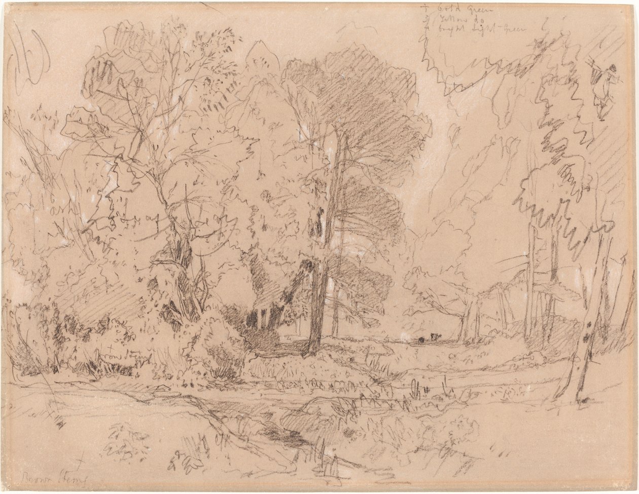 Paesaggio boschivo da John Sell Cotman