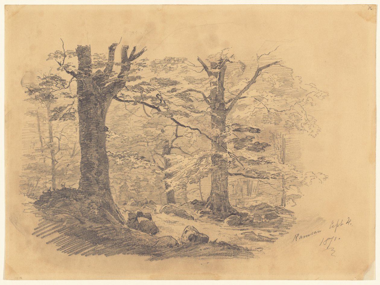 Foresta, Ramsau, Germania, 1871 da John Singer Sargent