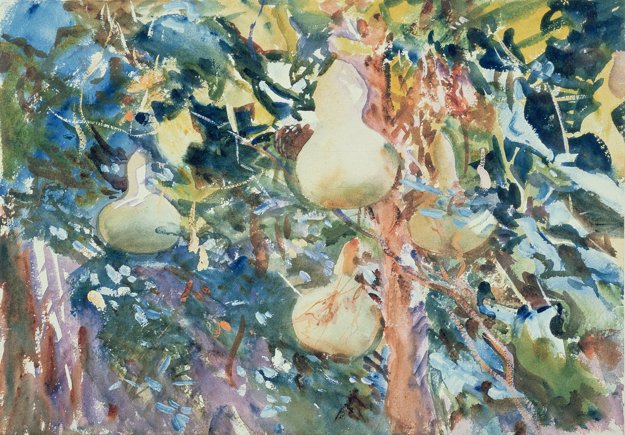 Zucca, c.1905 da John Singer Sargent