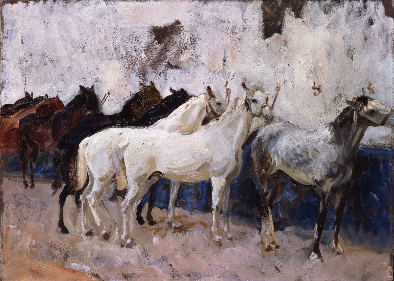 Cavalli a Palma, Maiorca, Spagna, 1908 da John Singer Sargent