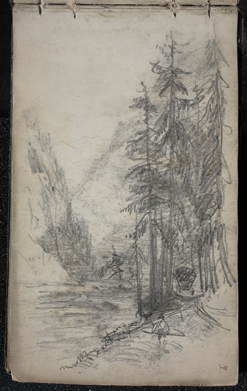 Paesaggio montano con alberi, 1871-72 da John Singer Sargent
