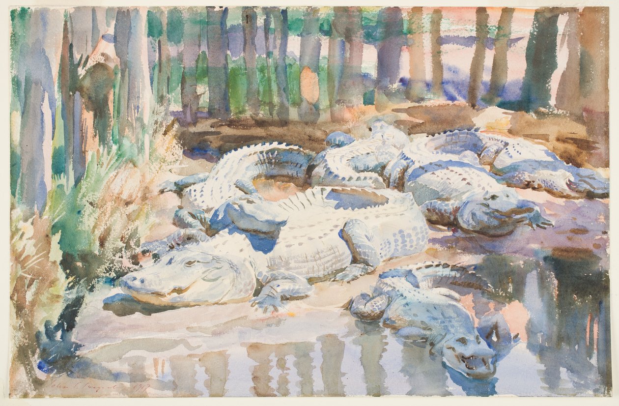 Alligatori fangosi, 1917 da John Singer Sargent