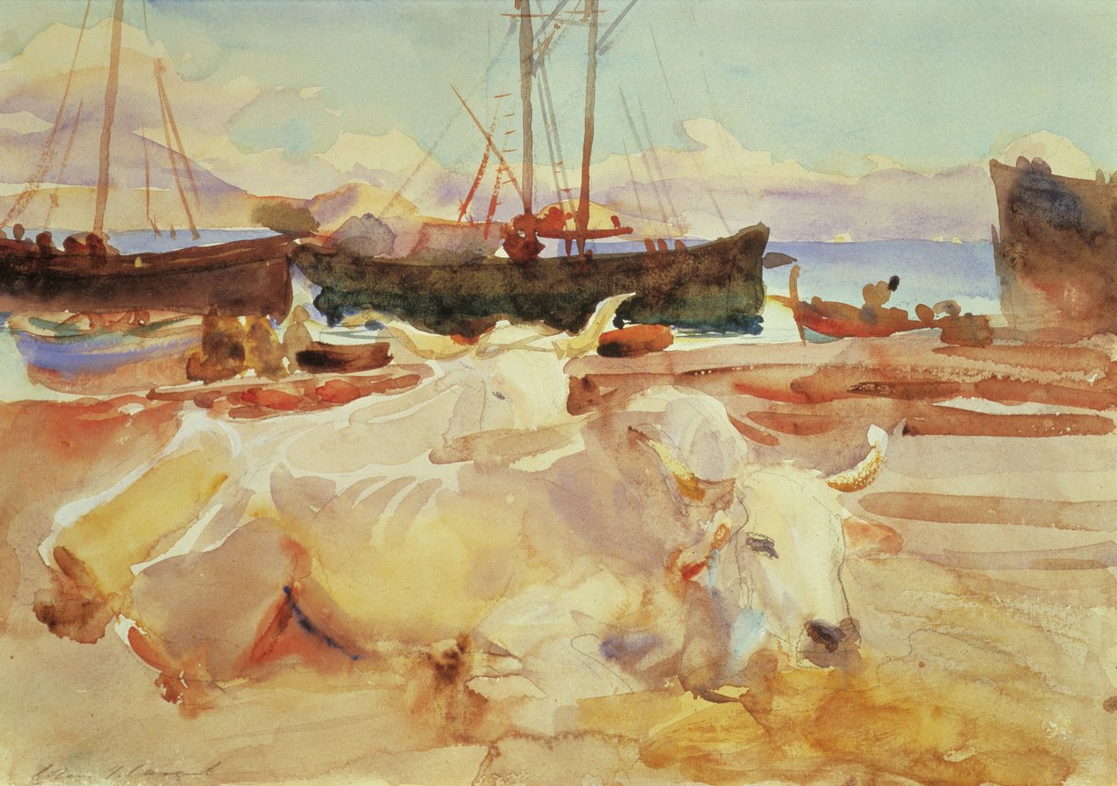 Buoi sulla spiaggia a Baia, c.1908 da John Singer Sargent