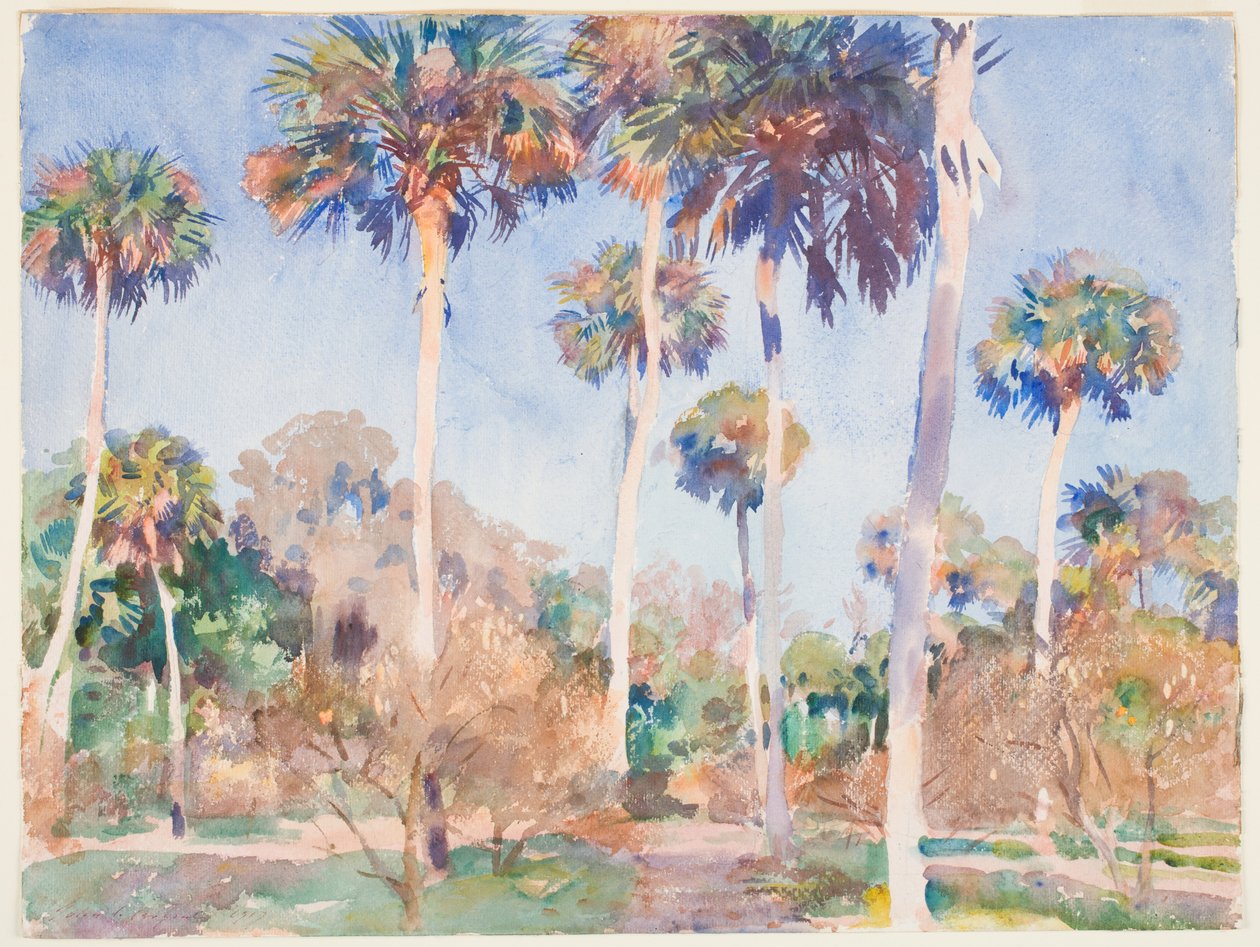 Palme, 1917 da John Singer Sargent