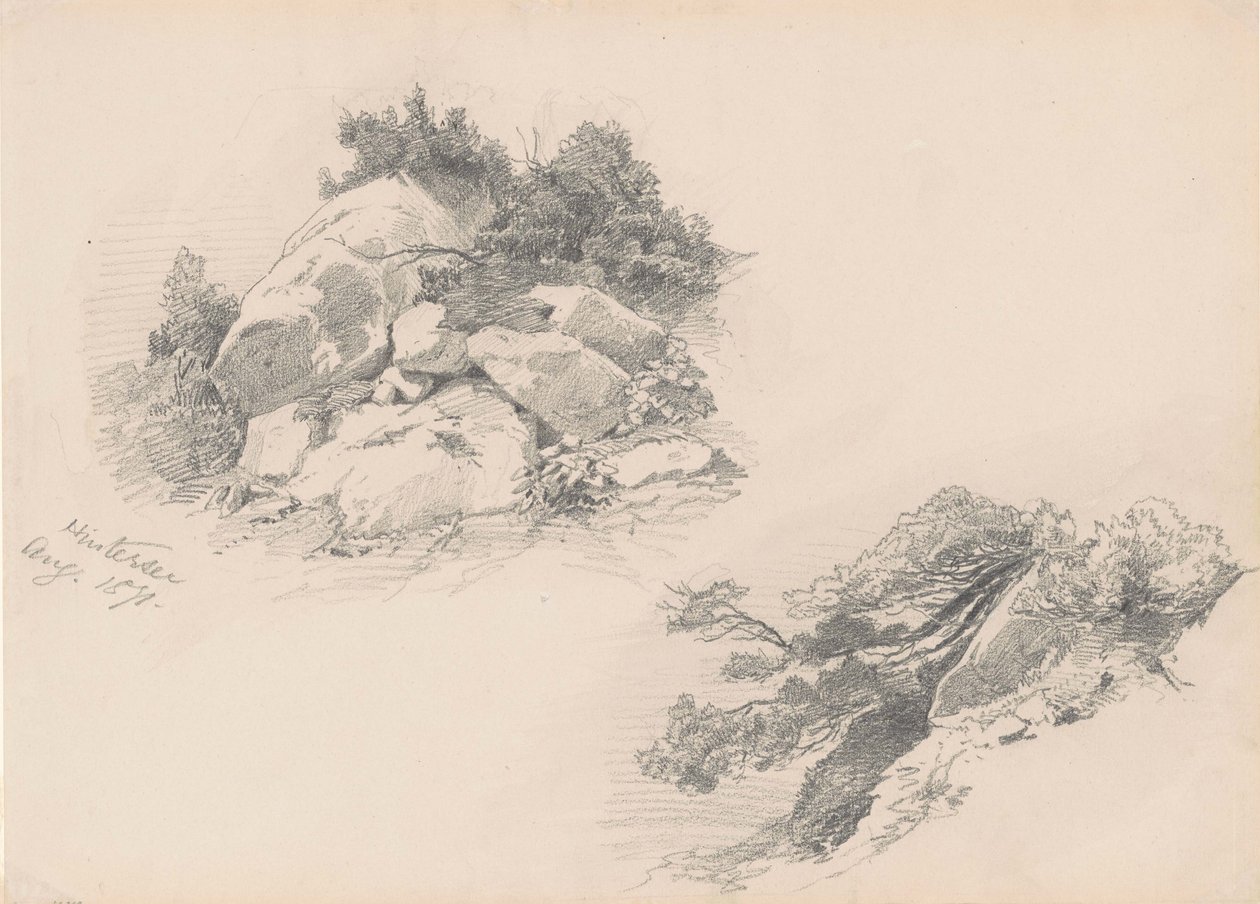 Rocce e cespugli, Hintersee, Germania, 1871 da John Singer Sargent